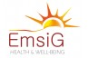 امسیگ|Emsig